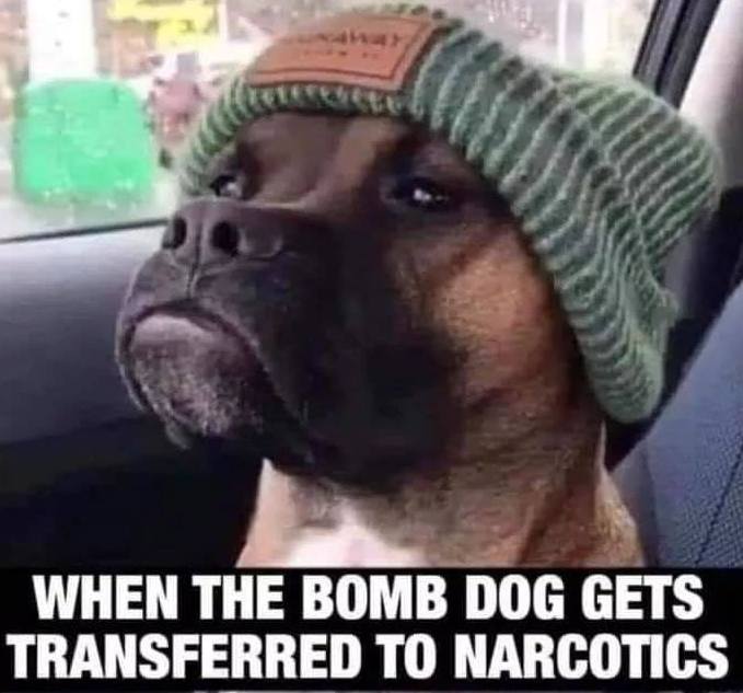 narcdog.jpg