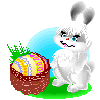:bunny