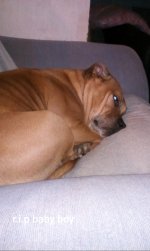 20200904_221748.jpg