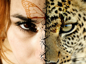 www.spiritanimal.info