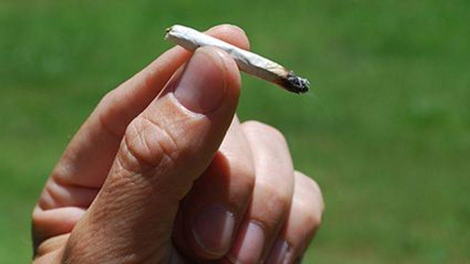 News Picture: Pot Use May Change the Teenage Brain, MRIs Show